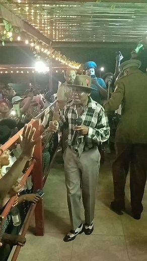 Understanding 'Tsotsi Khiphidaymane' by Freddie Gwala