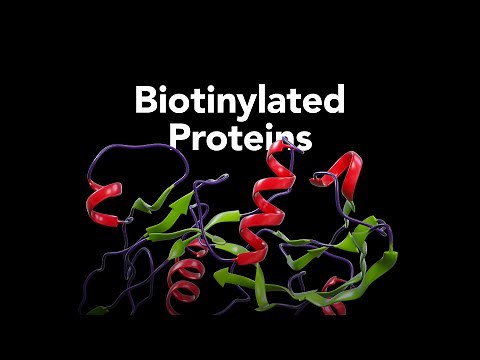 R&D Systems Biotinylated Proteins