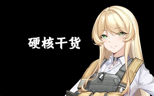 HPL大赛里都在用的狙击配装手法？也许该了解一下了