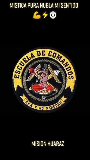 Exploring Military Emblems and Insignia