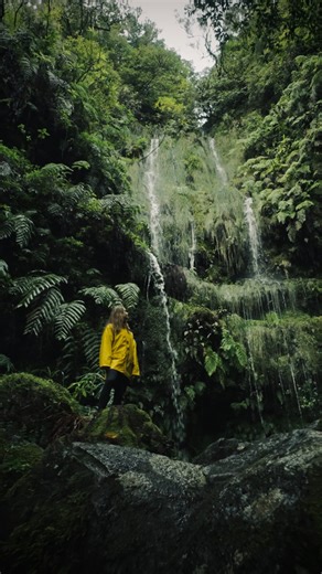 @tonelab.io on Instagram: "Another 10 second color grade using our one of a kind plugin for Davinci Resolve and Premiere Pro! This time, using one of our Ethereal Green Creative Looks 🌱"