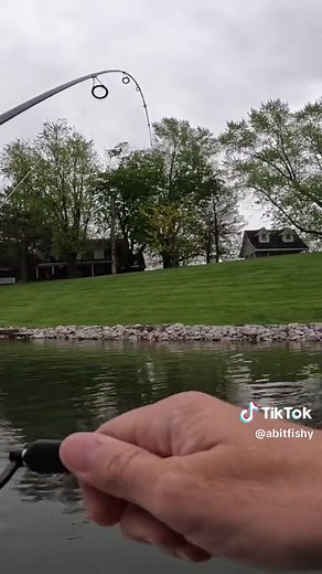 The Hot Shot Minnow from XZoneLures paired with GP Finesse @spearpoint_hooks is deadly. You can purchase both at ABitFishy Bait & Tackle. Link In Bio. The Rattle Shot from @dropzonetackle is legit. Get 15% Off @waterlandco sunglasses with my discount FISHY15 #dropshot #dropshotfishing #dropshotbaits #fishing #fishingtackle #baitandtackle #fishinglures #indiana #outdoors #ABitFishyBaitAndTackle #bassfishing #cast2catch #largemouthbass #fisherman