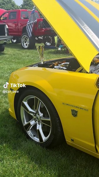 Bumble Bee at Lyons Father's Day Car Show