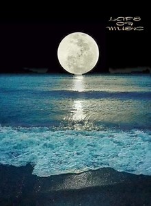 1.1M views · 52K reactions | One More Night - Phil Collins | Laps of music | Facebook