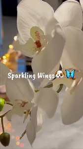 Halloween's around the corner, and isn't Poppy deserving of a bewitching outfit? 🎃🐶 Prepare for a howling fest! You can also obtain your valued $100 coupons when you click the link and may enjoy the lowest price ever on that item😍😍, App new user only. #HalloweenVibes #PetCostume #PoppyTheSta #temu #temufinds #temufavorites #temumusthaves #temushopping #temuhaul #shopnow #instagood #foryou #foryourpage #fyp #trending | Calhoun ewewr