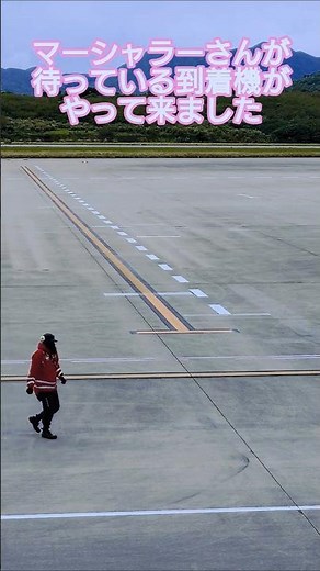 [Short Ground Handling Video] 🥝 The arriving aircraft that the marshaller is waiting for has arrived
