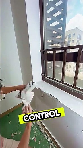 Drywall Patching & Repair Around Window | Professional Taping Knife Technique