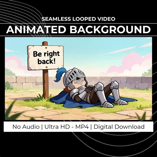 Sleeping Knight BRB Screen for Twitch Youtube OBS Zoom | Vtuber Animated Stream Overlay Loop - Etsy