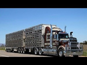 Livestock trucks of Australia 🇦🇺