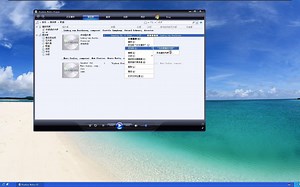 如何在 Windows Media Player 11 中创建自定义播放列表