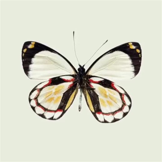 Exploring Song Kang and Han So Hee in Nevertheless