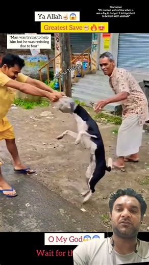 "Dog Gats His Head Stuck in a Box#shorts#viralvideo#youtubeshorts