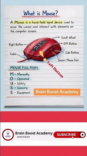 What are the components of a mouse? Mouse Structure. 🖱️💻🔧 #mouse #parts #computer #fyp #ytshorts