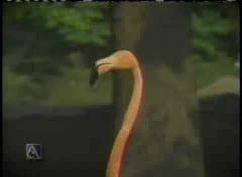 Detroit Zoo Ad from the 80s