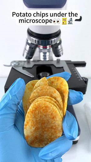 Potato Chips Under Microscope: Magnified 400x!
