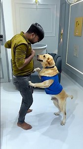 क्या झूठ बोलकर बुलाया मेरे डॉग ने किसी को😱 #funnydogs #shorts