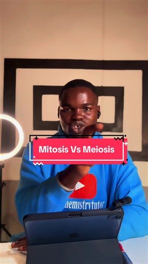 Mitosis vs Meiosis: Understanding the Key Differences
