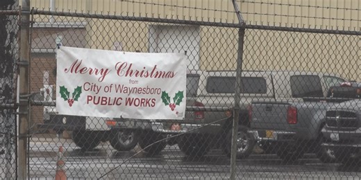 Recycling Christmas trees after the holiday season