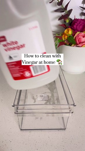 Home Cleaning Hacks with Vinegar by Carolina Mccauley