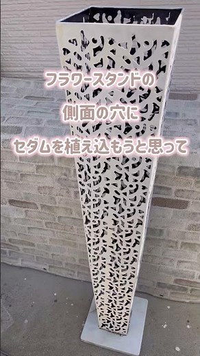 おしゃれなプランター #ガーデニング #庭作業 #多肉植物 #フラワースタンド #家庭菜園 #セダム #sedum #echeveria #草花 #flowers #たにくしょくぶつ