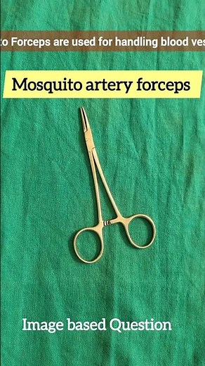 Mosquito artery forceps image//What are mosquito artery forceps used for?