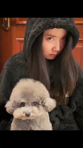 Part -1 Dog copies his owner for 1 minute straight (hilarious compilation) 🐶