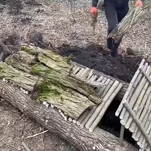 1.9M views · 10K reactions | Build a survival shelter #camp #build #camping #survival #bushcraft #Building #building | Camping videos Survival | Facebook