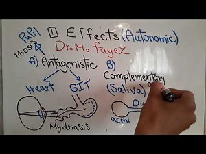 Autonomic new system (Autonomic Effects, Innervation and Regulation) dr mohamed fayez