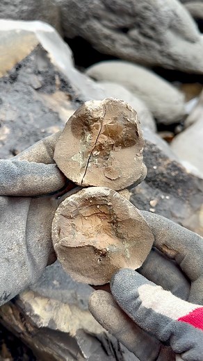 481K views · 2.5K reactions | We found a limestone rock and opened...