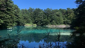 2.4K views · 101 reactions | What's the mystery behind this turquoise...