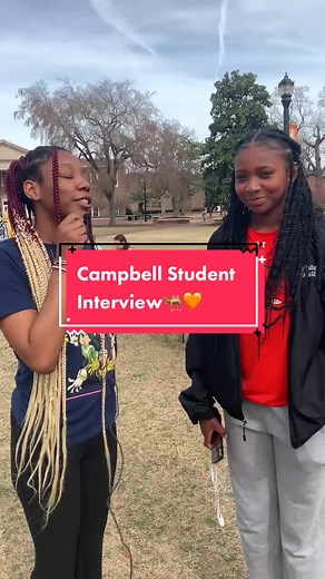 Campbell University Student Interviews: Insights and Experiences
