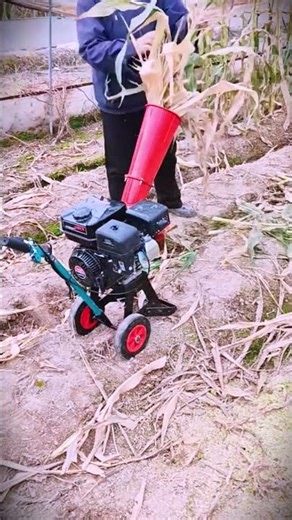 mini smart machine suitable for grinding dry corn stalks #shorts