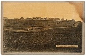 Early Zionist Settlement in Palestine - Jewish Agriculturalism in the Garden State