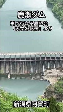 鹿瀬ダム 車で行ける展望台天女の花筏 新潟県阿賀町 令和8年4月下旬撮影 #shorts #絶景 #新潟県絶景 #展望台 #ダム #ダム界隈 #ダム巡り #天女の花筏 #新潟県観光