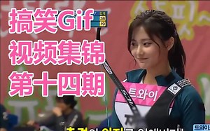 搞笑Gif视频集锦 第十四期