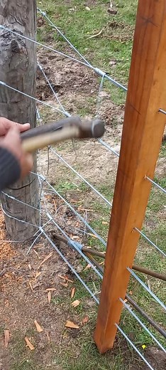 Videos de user3100256864415 (@ungauchodelarte) con «Universo Paralelo - The La Planta»