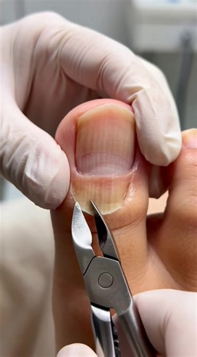 #fyp | real ai robots