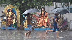 Mangrove Root Model May Hold the Key to Preventing Coastal Erosion  | Newswise