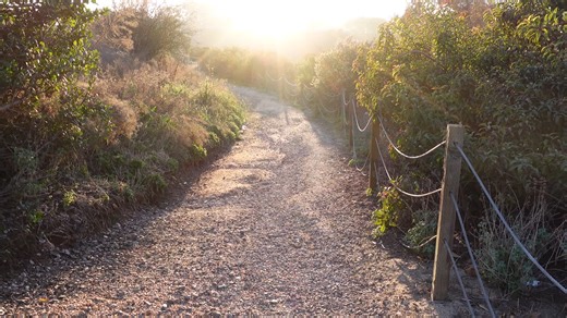 Balboa Park has 65 miles of trails - most visitors never see them