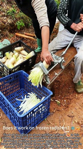 Amazing Tool for Shredding Radish – Thin & Fast! 🍠
