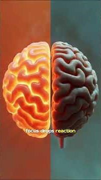 How Water Improves Brain Function