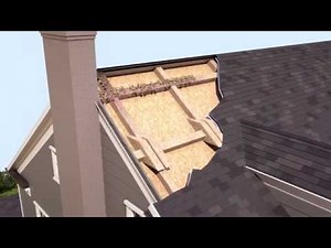 Drywood Termites: How Do They Get Into Homes & Signs of Drywood Termite Damage