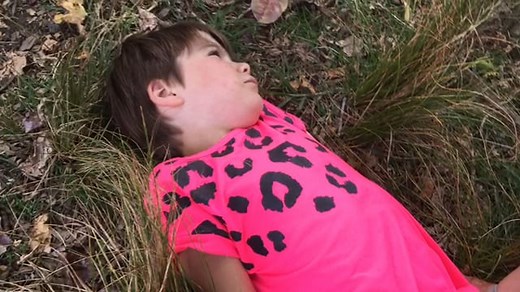 The Wild Robot Movie Trailer 1