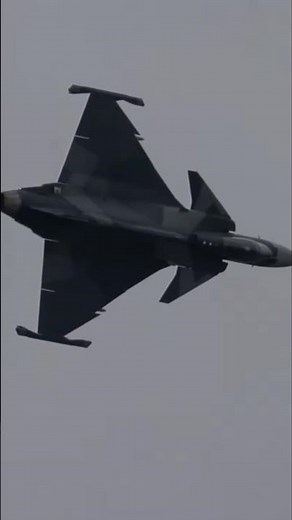 日本でも何故か大人気、グリペン。小型で技敏な北欧戦闘機 その最新型Gripen Eの鋭い機動
