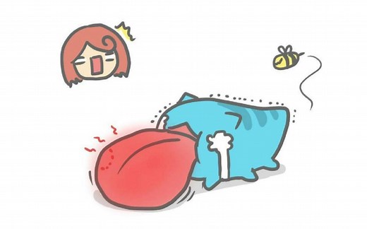 蜜蜂也欺负咖波_哔哩哔哩_bilibili