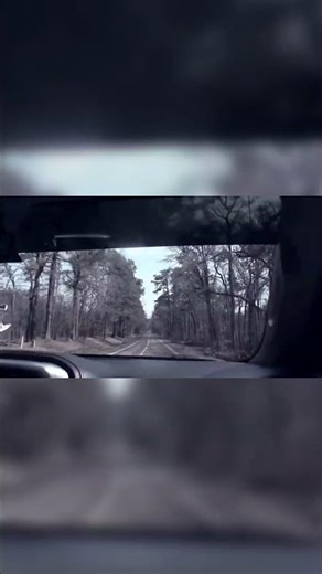 Bigfoot Hunt: East Texas Tracks Mystery!