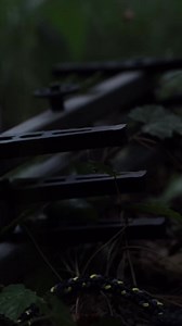 17K views · 29 reactions | “We’re staying safe, and hanging good stands.” 欄- @hunting_land_man #huntersafetysystem #treestandsafety #hunt #hunting #archery #bowhunting #deer #deerhunting #outdoors #itsinmynature #whatgetsyououtdoors | Hunter Safety System | Facebook