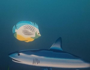 Basic Fish Animation in After Effects - PRAJWAL MS