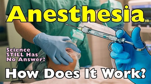 How Does Anesthesia Work?