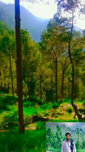 Unman Toofan on TikTok